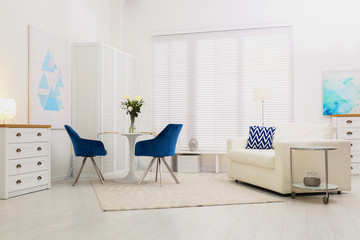 Modern living room interior with stylish furniture