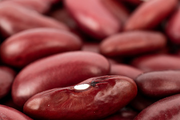 Lot of whole fresh red kidney beans macro isolated