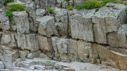 vertical sheer rock rocks and plants
