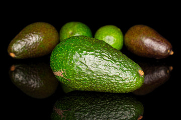 Group of five whole fresh green avocado isolated on black glass
