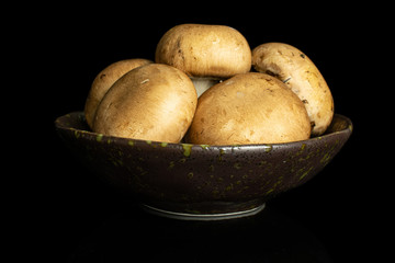 Group of five whole fresh brown champignon in dark ceramic bowl isolated on black glass