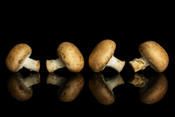 Group of four whole fresh brown champignon isolated on black glass