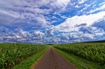 Beautiful sky with clouds over field near forest