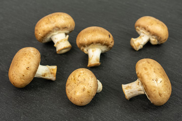 Group of six whole fresh brown champignon on grey stone