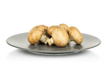 Group of five whole fresh brown champignon on gray ceramic plate isolated on white background