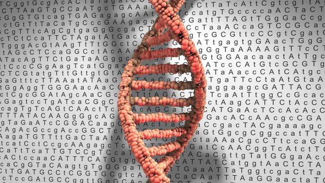 DNA genetic engineering molecular biology medical research into gene therapy 