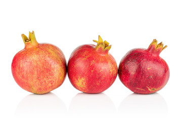 Group of three whole fresh red pomegranate in row isolated on white background