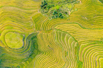 Longji Rice terraces China aerial View 