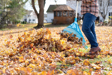 Man raking leaves in the backyard in autumn - obrazy, fototapety, plakaty