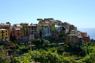 Fototapeta na wymiar traditional village in Cinque Terre with Mediterranean Sea in the background