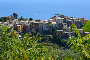 traditional village in Cinque Terre with Mediterranean Sea in the background