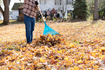 Fall clean up in the backyard - man raking leaves - obrazy, fototapety, plakaty