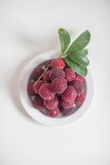 Sweet and sour red fruit bayberry
