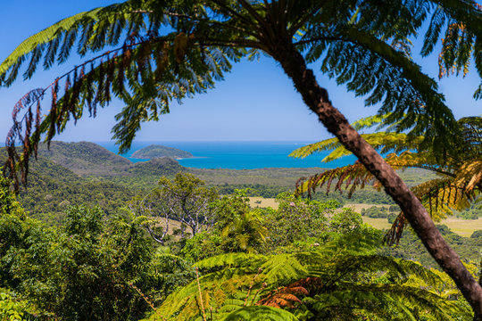 Lookout over bay from Daintree rainforest 