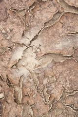 texture of dried cracked ground