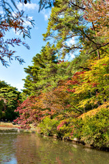 View of forest park in Kobe in early autumn