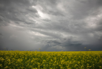 Prairie Storm Clouds Canada