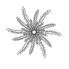 Design illustration of flower