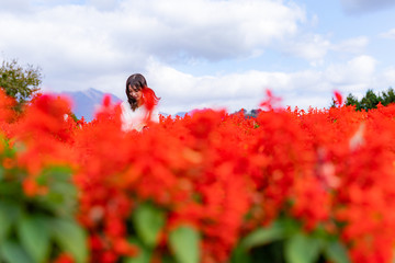 女性　花畑　赤　うつむく　コピースペース 