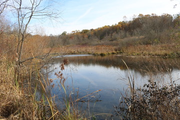 Autumn skies in a pond