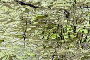 Background, abstract unique texture of the sea, stone on the shore