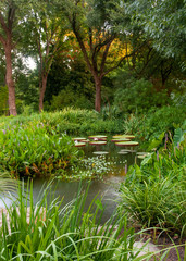 Dallas Arboretum Pond