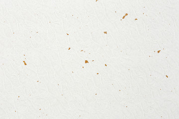 紙のテクスチャー