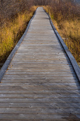 道の果てへ　The end of the wooden path