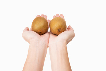 closeup of holding two fresh kiwi in hand with white background