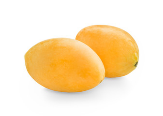 Marian plum isolated on the white background