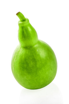 Lagenaria siceraria isolated on white background