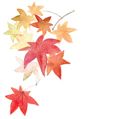 紅葉　花　水彩画