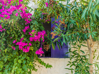 A typical view in Lania in Cyprus