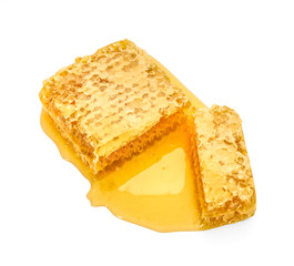 Yellow Honeycomb slice closeup isolated on white background