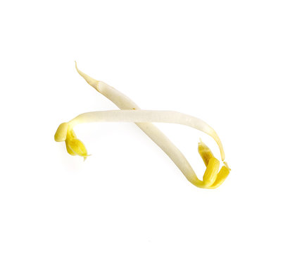 Pile of bean sprouts with white background