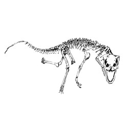 dinosaur Bone