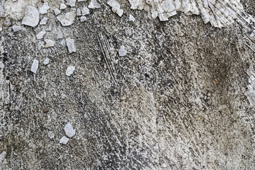 Close Up Shot Of An Old Concrete Wall