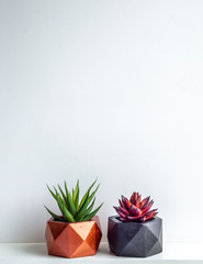Modern painted geometric concrete planters. Beautiful painted concrete pots.