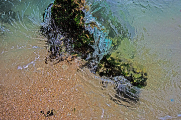 sea sand sky and summer day