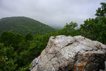 Giant Boulder Peeks Above Forest