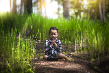 Cute little girl praying in nature with light in morning time. christian concept.