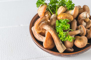 White table with a clay bowl filled with forest autumn mushrooms. Forest mushrooms on the table.