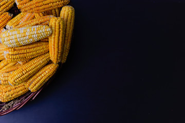 Mazorcas de maíz en canasta sobre pasto