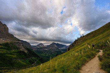 Hiker Heads Through The Trail With Bear Grass