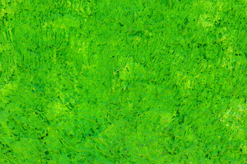Fototapeta premium green cement wall or floor textured,Abstract background