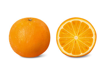 Delicious citrus illustration