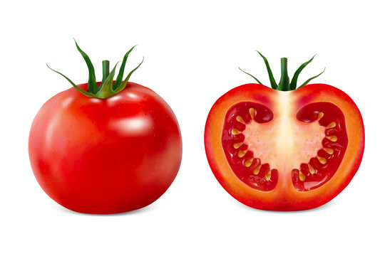 Delicious tomato illustration