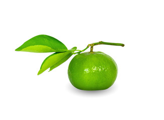 green lemon isolated on white background with clipping path