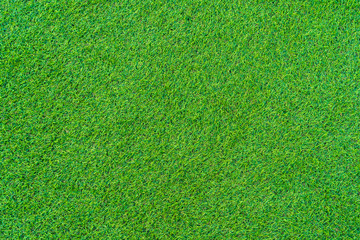 Fototapeta premium Abstract green grass texture and surface