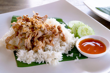 Fried Pork with Garlic Pepper on Rice wtih white dish